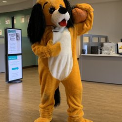Sutter Medical Group - Rufus the Dog is out here today for the Annual Fall Harvest Festival
