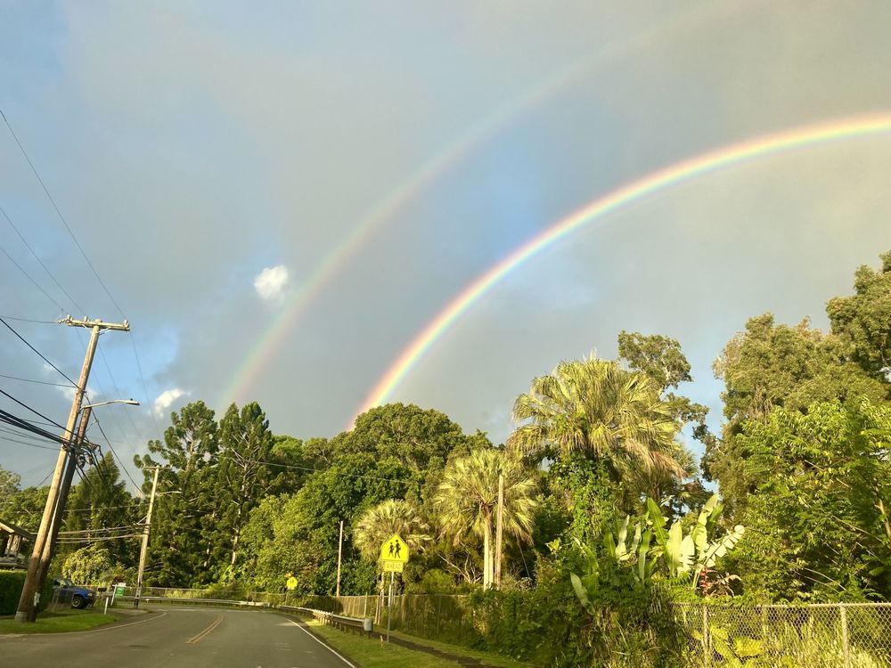 Eleos Massage Therapy Logo