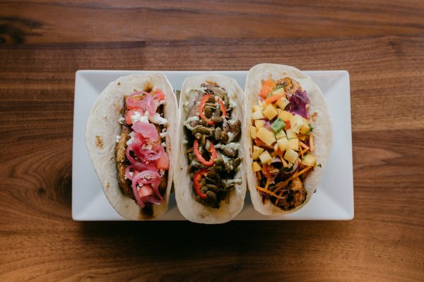 Iguana On Park by null