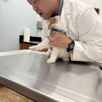 PetSmart Veterinary Services - Dr. Lim and biscuit - Veterinarians Near Me - Dublin, California