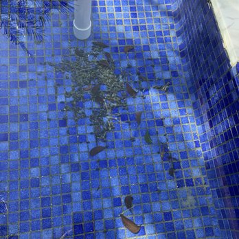 Pinch A Penny - My invoice says brushed and vacuumed....where? This is 5 minutes after pool guy left. - Pool & Hot Tub Service Near Me - Miramar, Florida