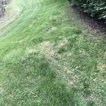 Mark's Lawn Care & Landscaping - Weeds, Ruts, Bare Spots - Landscaping Near Me Mark's Lawn Care & Landscaping - Weeds, Ruts, Bare Spots - Landscaping Near Me