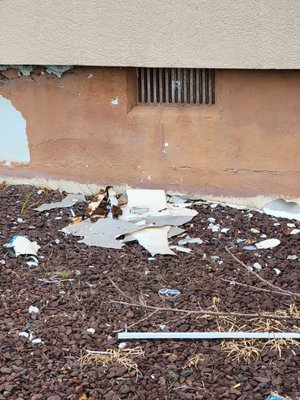 Oh St Joseph Resort Hotel by null