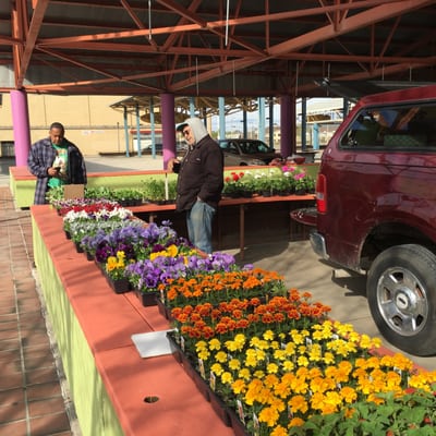 Fondy Farmers Market by null