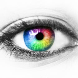 Framingham Optical