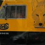 Photo of Coyote Food Truck