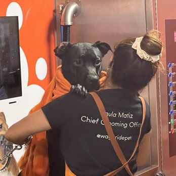 WagPride - Pet Stores Near Me - Wilton Manors, Florida
