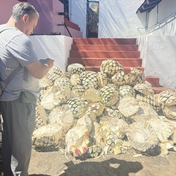 Destileria La Fortaleza - Tours Near Me - Tequila, JAL