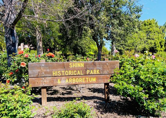 Shinn Historical Park and Arboretum by null