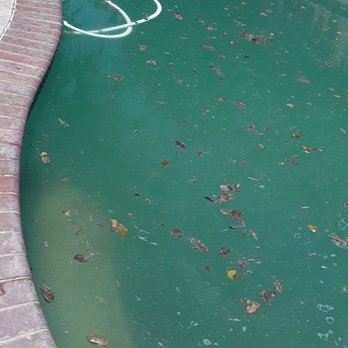 HBR Rentals - Green pool tenants turned off timers - Real Estate Services Near Me - Tracy, California