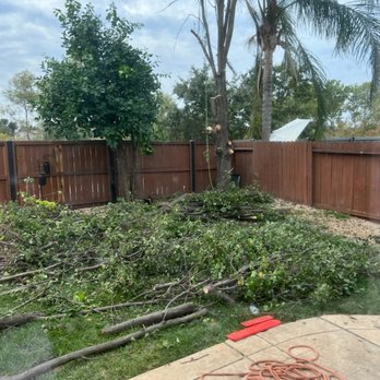 Atlas Quality Tree Care - Tree Services Near Me Atlas Quality Tree Care - Tree Services Near Me