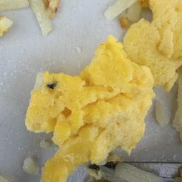 bug in eggs