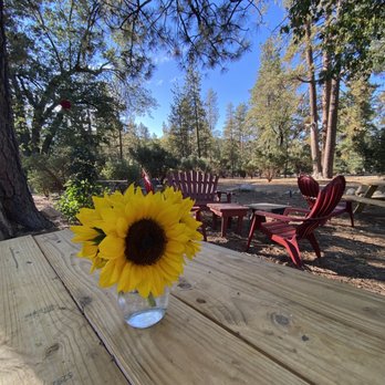 The Sunflower - Bakeries Near Me - Idyllwild, California