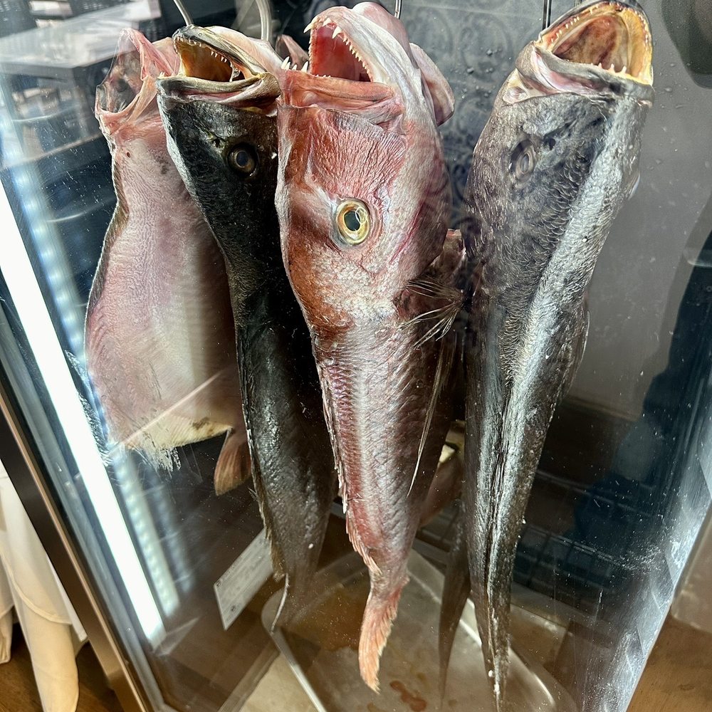 Ponto de Encontro - Seafood Near Me - Tavira, 08