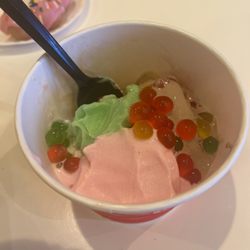 Blueberry Frozen Yogurt