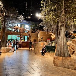 Creation Museum - Engaging on Every Level