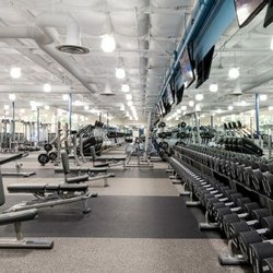Fitness 19
