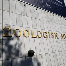 Zoologisk Museum - The wall outside.