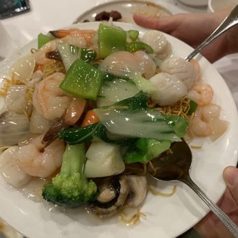 The Wokker Restaurant - Cantonese Near Me - Etobicoke, Ontario The Wokker Restaurant - Cantonese Near Me - Etobicoke, Ontario