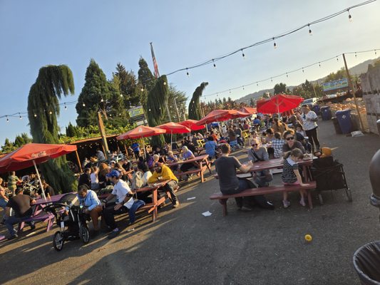 Bella Organic Farm by null