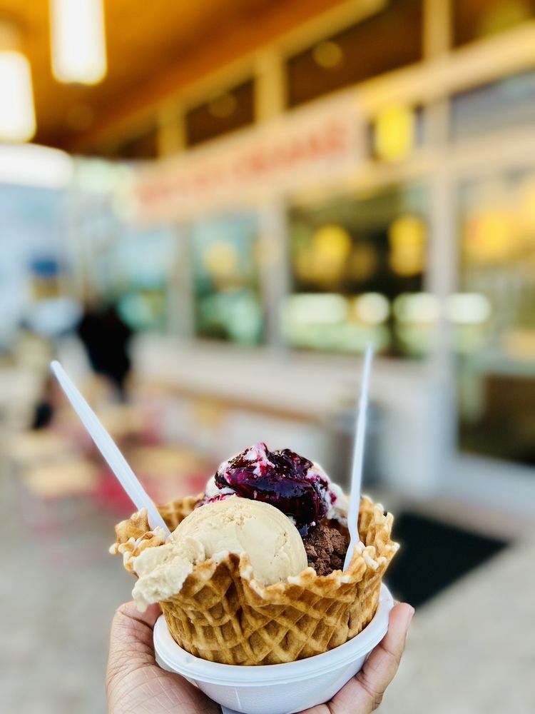 Jeni's Splendid Ice Creams Logo