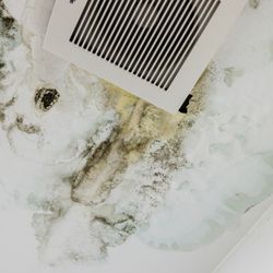 JDR Restoration & Remodeling - Mold Damage