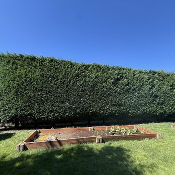 Wizard Tree Service - Tree Services Near Me - Kenmore, Washington