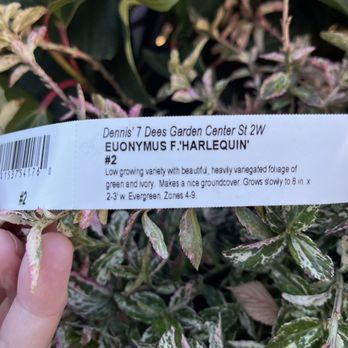 7 Dees -  hand holding a ticket - Nurseries & Gardening Near Me - Portland, Oregon
