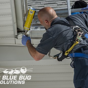 Big Blue Bug Solutions - Pest Control Near Me - Providence, Rhode Island Big Blue Bug Solutions - Pest Control Near Me - Providence, Rhode Island