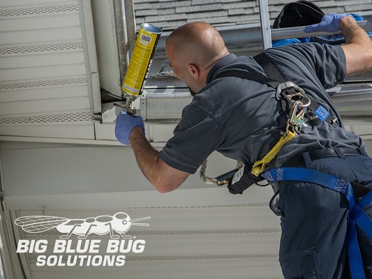 Big Blue Bug Solutions by null