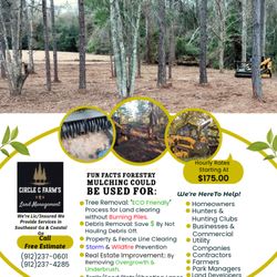Circle C Farms Land Management - Forestry Mulching Fun Facts