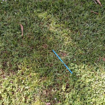 Bugs Exterminators Termite & Pest Services - Pest Control Near Me - Pompano Beach, Florida