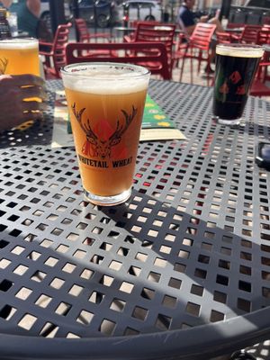 Montana Brewing Company by null