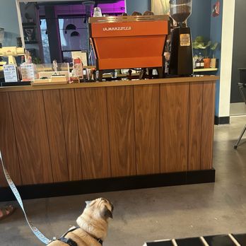Mnemonic Coffee - Coffee & Tea Near Me - San Diego, California Mnemonic Coffee - Coffee & Tea Near Me - San Diego, California
