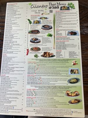 Menu photo 2 Cilantro Asian Bistro - Davie Davie, FL Menu photo 2 Cilantro Asian Bistro - Davie Davie, FL