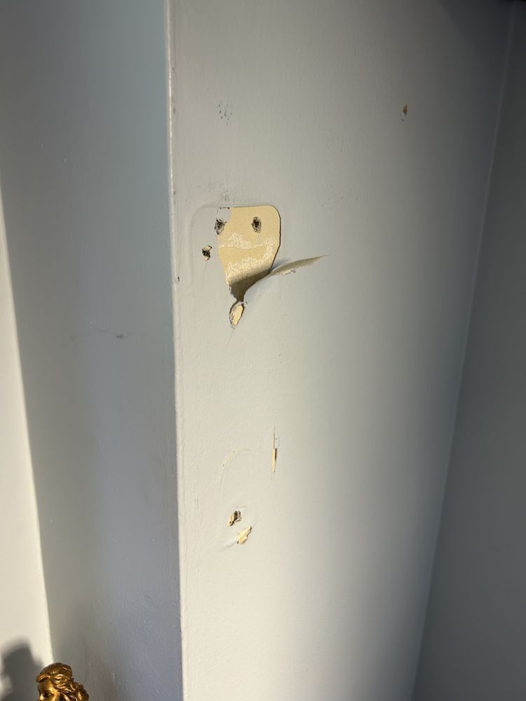 MARK’S PAINTING Updated October 2024 Request a Quote Crystal Lake