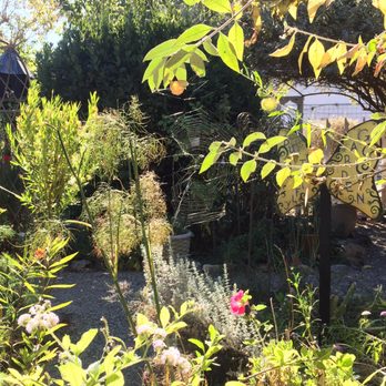 Spellbound Herbs - Beautiful - Nurseries & Gardening Near Me - Cambria, California Spellbound Herbs - Beautiful - Nurseries & Gardening Near Me - Cambria, California