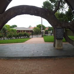 The Old Gum Tree