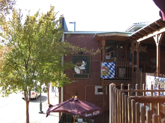 Hair of the Dog Pub by null