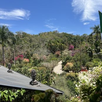 Vallarta Botanical Gardens - Pic from restaurant - Botanical Gardens Near Me - Cabo Corrientes, JAL Vallarta Botanical Gardens - Pic from restaurant - Botanical Gardens Near Me - Cabo Corrientes, JAL