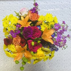 Catta Flowers