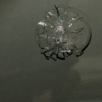 Mayday Auto Glass - Auto Glass Services Near Me