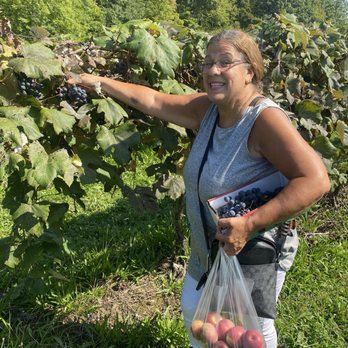 Eddy's Fruit Farm - Fruits & Veggies Near Me - Chesterland, Ohio