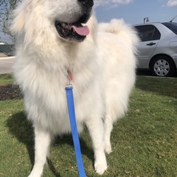 So fresh and so clean! So fresh and so clean!