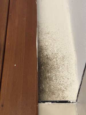 Hotel Principe by null