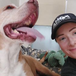 The Treasure Hound - Me and Buddy, one of FOHA's wonderful dogs.