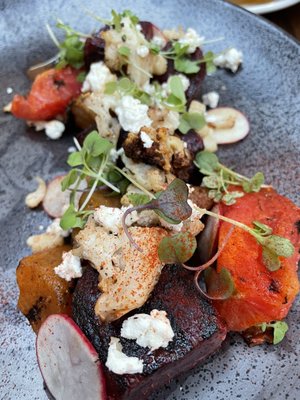 Iguana On Park by null