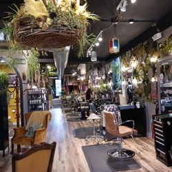 Hair With Flair - Live plants