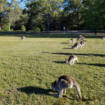 Morisset Park - Parks Near Me - Morisset Park, NSW