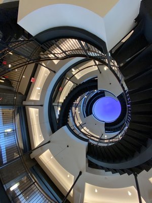 The Octagon by null